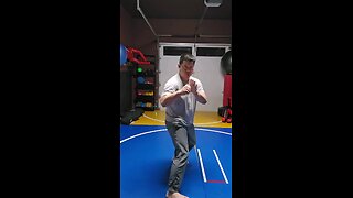 WTD Hand Combination D, Bridge Set (Rank 1)