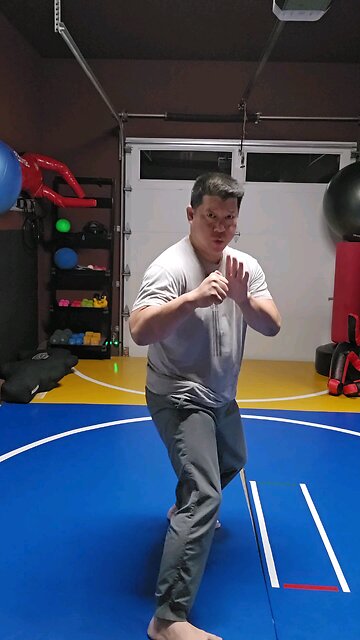 WTD Hand Combination D, Bridge Set (Rank 1)