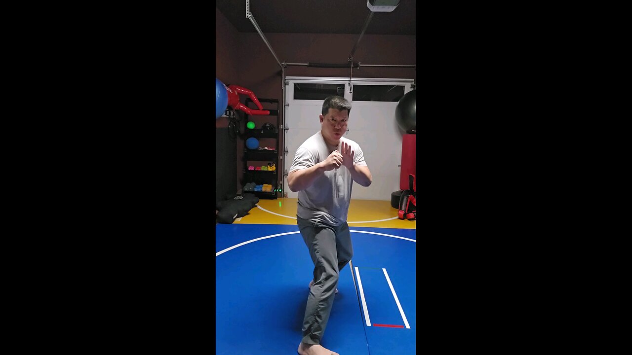 WTD Hand Combination D, Bridge Set (Rank 1)