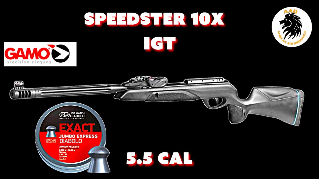 Gamo Speedster 10X IGT in 5.5cal Test at 25 yards with JSB 14.35 gn pellets