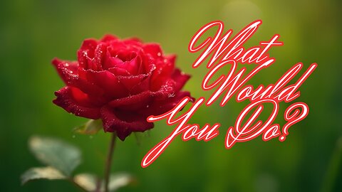 WWJD-2 (What Would Jesus Do)