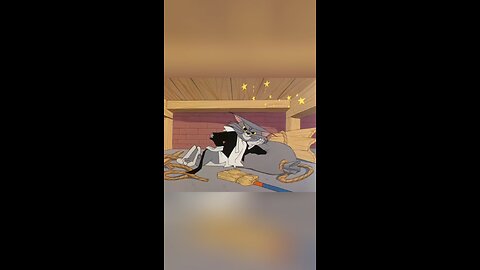 Tom 🐱and🐭 Jerry funny vid