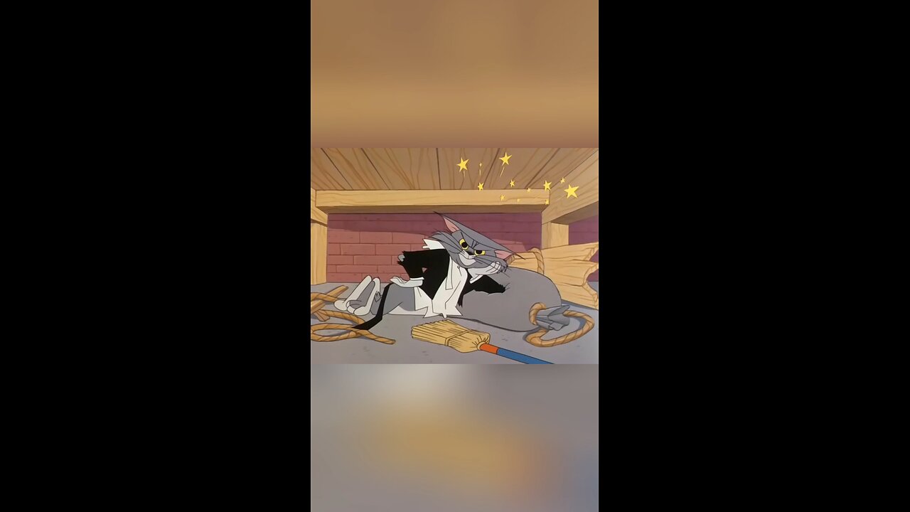 Tom 🐱and🐭 Jerry funny vid