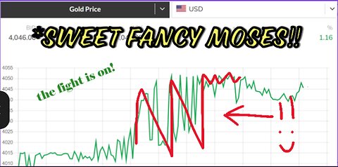 THE FIGHT IS ON!!!! MASSIVE OVERNIGHT GOLD VOLITILITY - HOLD ON BITCHES!
