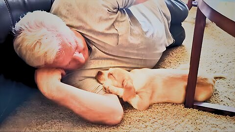 When Animals Shock Humans — Craziest & Funniest Animal & Human Reactions 2025 🤪