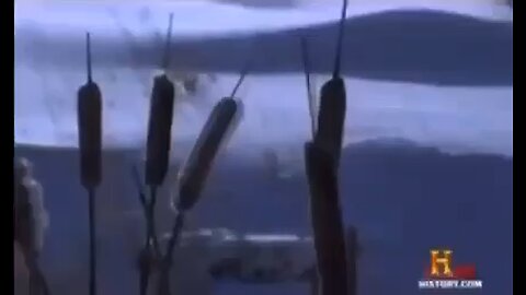 Here’s proof of treason that they’re committing crimes against humanity