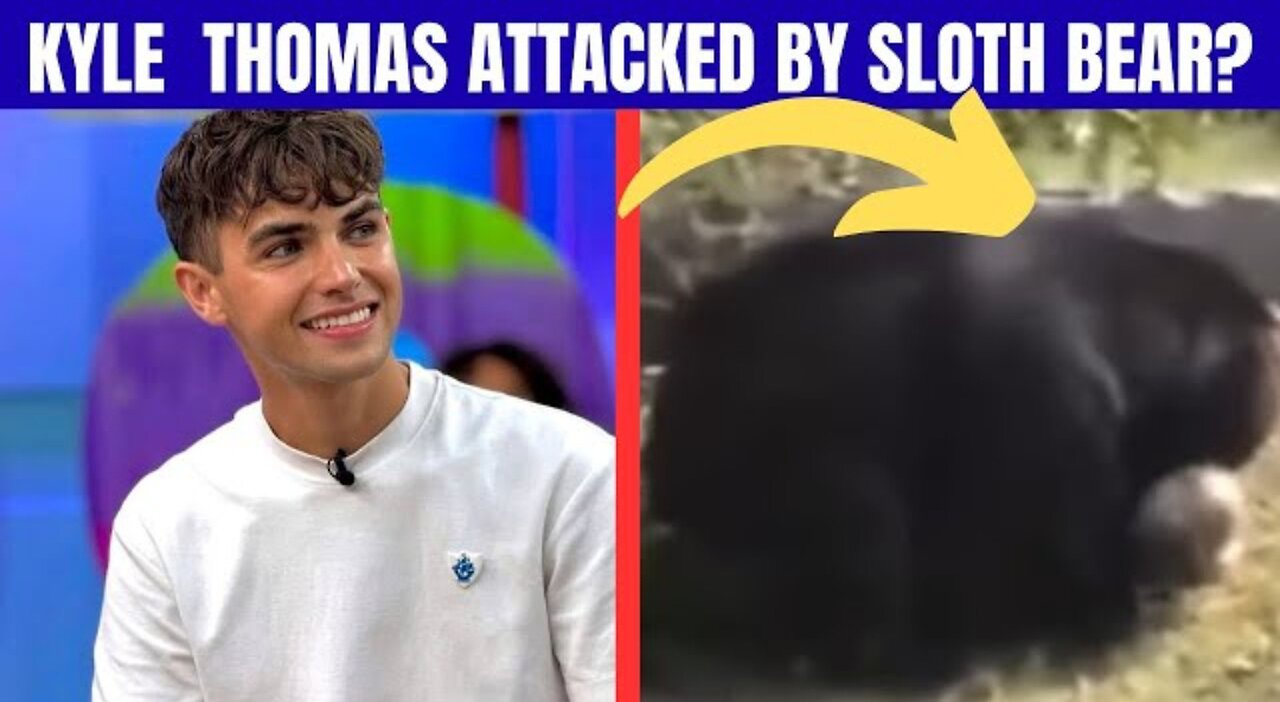 Kyle Thomas bear attack truth, Kyle Thomas sloth bear, Kyle Thomas news update, Kyle Thomas rumor