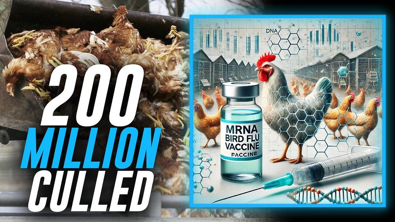 Over 200 Million Chickens Killed Under Biden Admin's Watch & Big Pharma’s mRNA