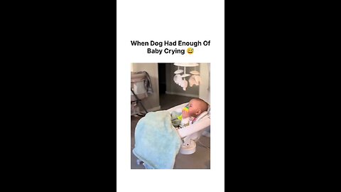 When dog have enough of baby crying 😂😂