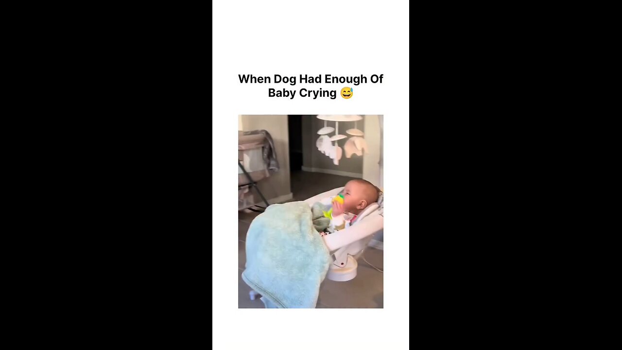 When dog have enough of baby crying 😂😂