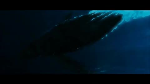Jonah Swallowed (English Sub)