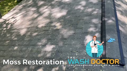 4 Step Proven Roof Moss Restoration Process