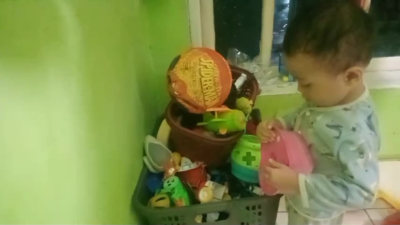 Busy looking for toys in the basket