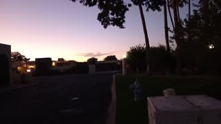 ChaCha Rayo on dusk doggie walk Rayo is very scared(trembling a lot) He smells round some20251108435