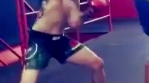FIRED to UFC CHAMPION! Brandon Moreno