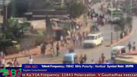 Oduu Waaree ONM-ABO Muddee 24-2024 itti dhiyaadhaa!