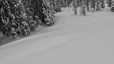 Great Snow, Great Splitboard Mission