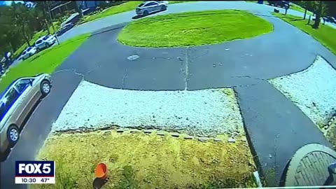 An ILLEGAL ALIEN was caught as part of a sophisticated porch pirate ring in Suffolk County NY