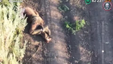 Ukraine war combat footage 10/21/25