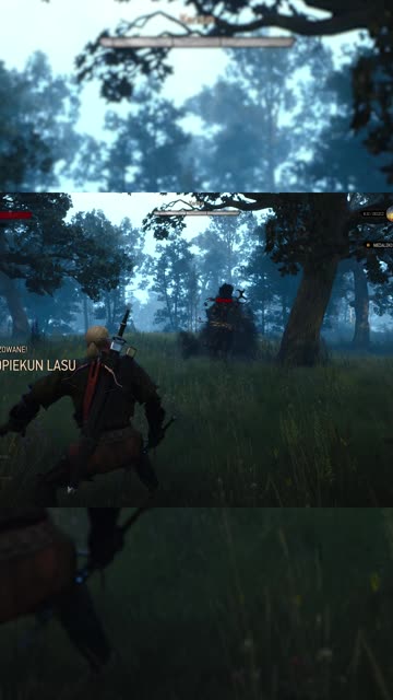 The Witcher 3: Wild Hunt🔥