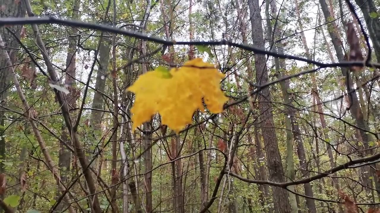 najtrudniejsza zmiana ...