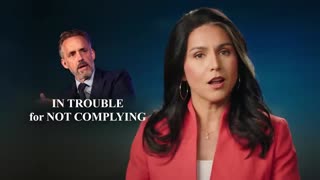 tulsi gabbard