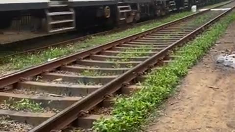 Srilankan Fast Train 🚊 #shorts