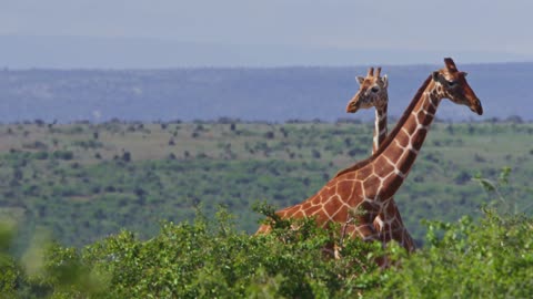 "Success is not a destination; it's a way of traveling."