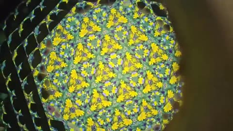 🤯✨ You Won't Believe This Kaleidoscope's Secret! Amazing Science | FeedMyCuriosity