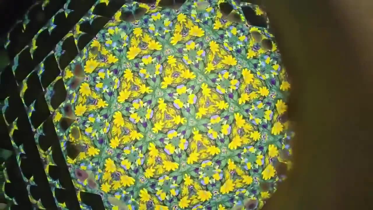 🤯✨ You Won't Believe This Kaleidoscope's Secret! Amazing Science | FeedMyCuriosity