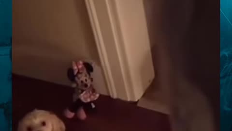 👹 #ghostlytoksa #skinwalker #creepyvideos #haunted #demon #horror #paranormal | TheHauntingHour