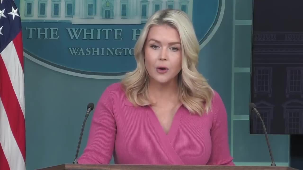 Karoline Leavitt just used Russia hoax to turn tables on the fake news media