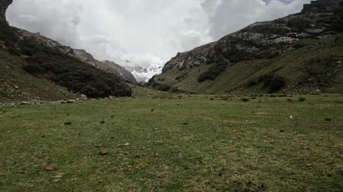 Viscacha in Quebrada Llaca