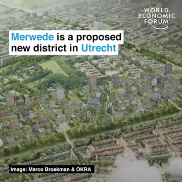 The World Economic Forum wants to know if you would "be happy sharing...