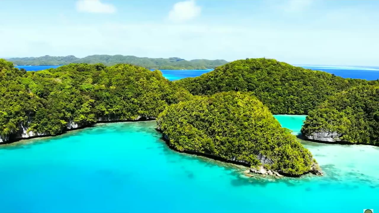The End of Crypto as You Know It: Preparing for KYC in Palau & Legal Digital ID