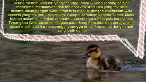 the silence of the night teaches us many things