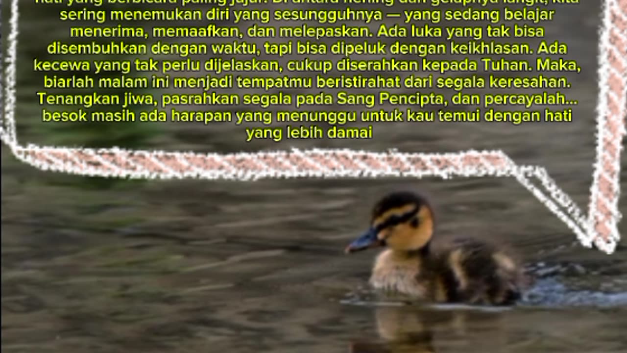 the silence of the night teaches us many things