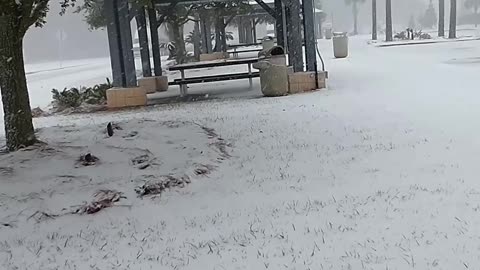 Drone Flies Through Unusually Snowy Florida