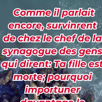 « N’aie pas peur, crois seulement » Marc 5:35,36. #shortvideo #youtubeshorts #ytshorts #reels #yt