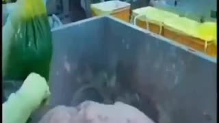 Woe Day 46. I am in the ark. Waiting for GOD to open the Door for a spring/summer Pentecost rapture