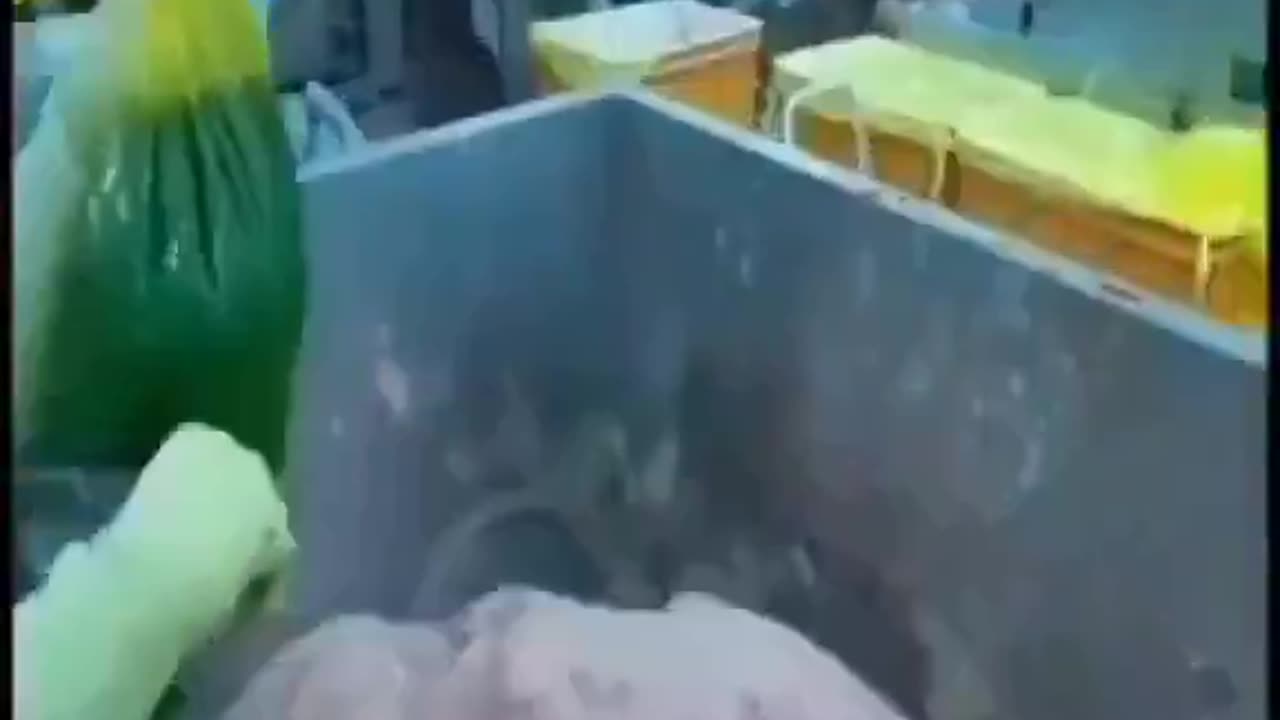 Woe Day 46. I am in the ark. Waiting for GOD to open the Door for a spring/summer Pentecost rapture