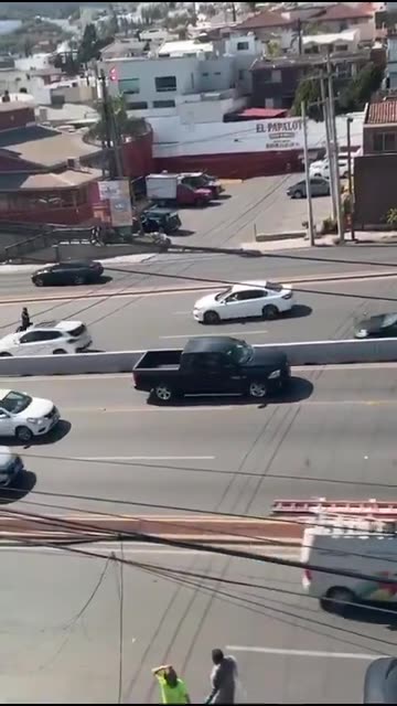 WEEEE ... should you play in traffic ?