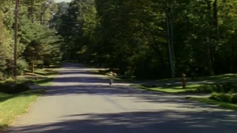 Goosebumps S01E11 My Hairiest Adventure