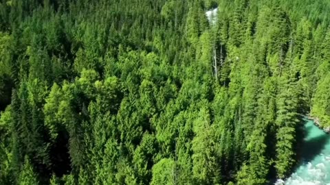 Lofi Classical Dreamscape