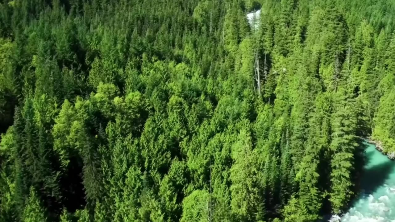 Lofi Classical Dreamscape