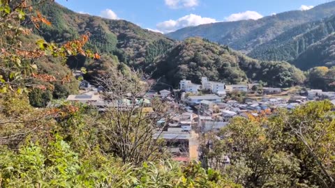 85歳の高齢女性が6回目のワクチン接種後に乳がんが見つかった