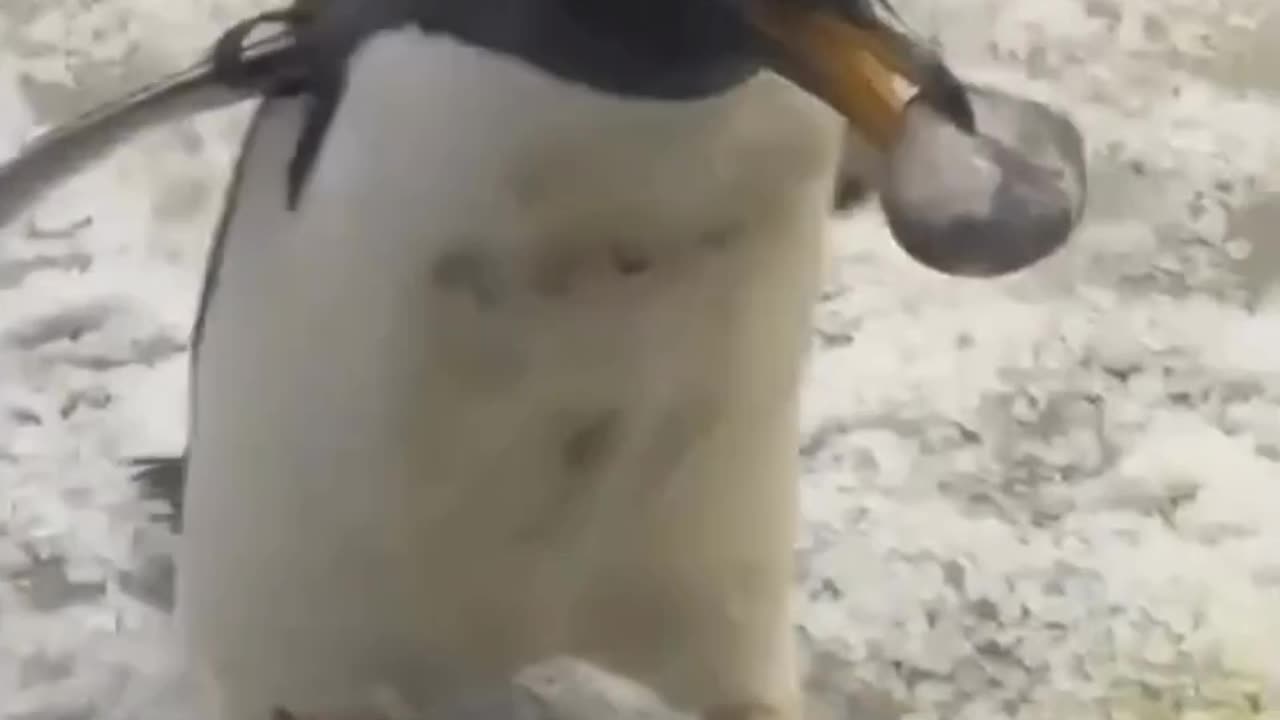 Bringing a gift to impress someone special