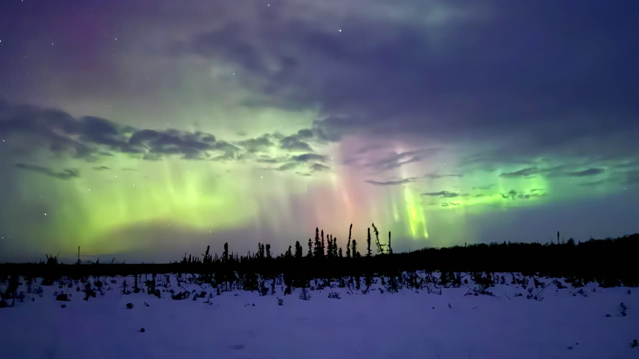 Trapping Alaska 24/25 Season - ep.1