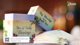 Pioneer Channel LIVE