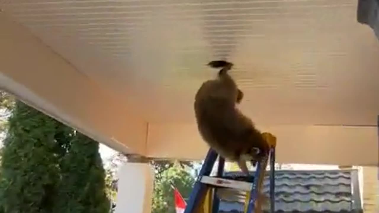🤝👏 When Teamwork Makes the Dream Work (Hilariously) | FunFM